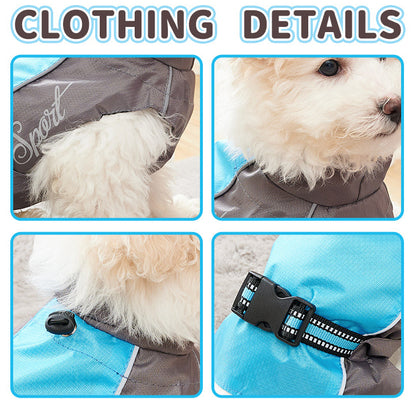Dog wearing a gray and blue jacket with close-up details on a white background.