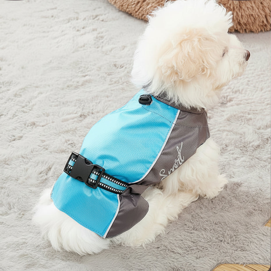 Dog wearing a blue and gray coat on a light gray surface